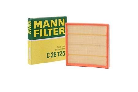 Mann Filter Hava Filtresi C28125